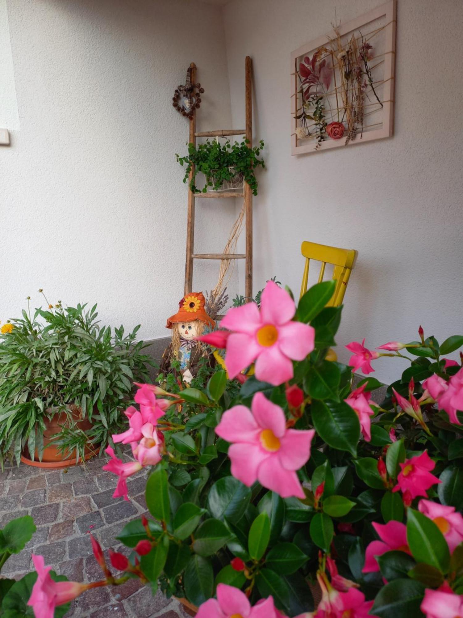 Casa Vacanze Paola Romeno Extérieur photo